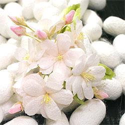 Silk Cocoon Flower Make Flowers from silk cocoons